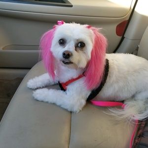 Meet your Posher, Deborah